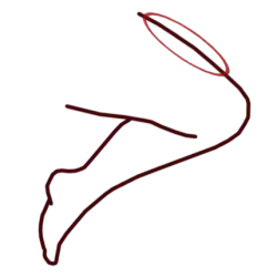 Momo, dessus de la cuisse.