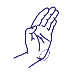 Seiryūtō, angle extérieur du talon de la main.