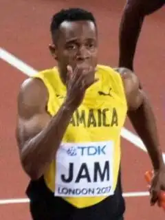 Image illustrative de l’article Julian Forte