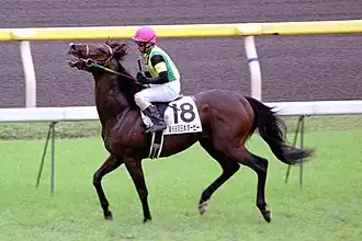 Tentative d'échapper au mors