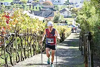 Image illustrative de l’article William Boffelli