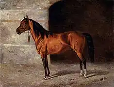 Peinture d'un cheval doré aux crins noirs, vu de profil.