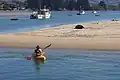 Kayakistes et un lion de mer de Nouvelle-Zélande se reposant dans le mouillage de Karitane Harbour