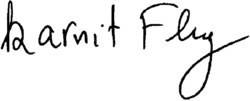 signature de Karnit Flug