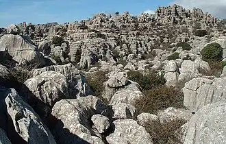 Calcaires karstiques. Torcal de Antequera, province de Malaga (Andalousie, Espagne).