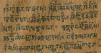 Texte sanskrit sur écorce de bouleau (XVIIe&nbsp;siècle)