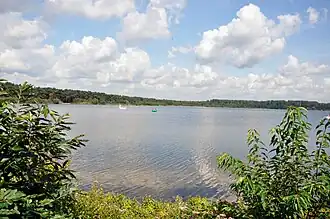 Berges du lac de Rauw