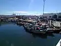 Bateaux de pêche dans le port de Sidi Youssef.