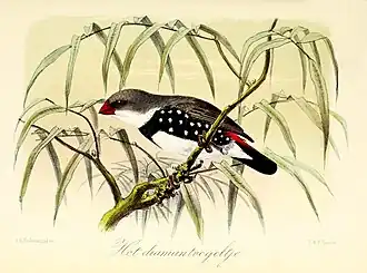 Description de cette image, également commentée ci-après