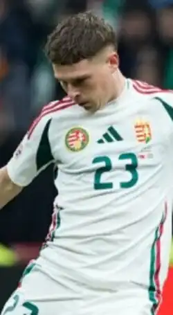 Image illustrative de l’article Kevin Csoboth