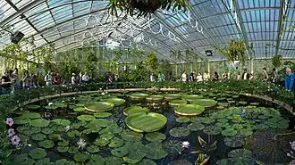 Waterlily House