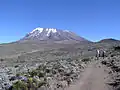 Le Kilimandjaro.