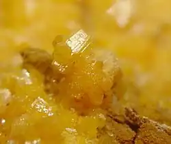 Image illustrative de l’article Kleinite