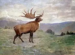 Mégaloceros (Megaloceros giganteus).