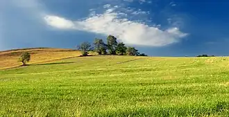 Union Township (comté de Centre, Pennsylvanie)