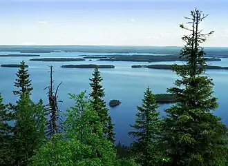 Image d'un paysage composé d'arbres au premier plan et d'un lac parsemé d'ilots au second plan.
