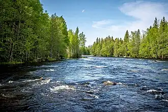 Rapides de Konnevesi.