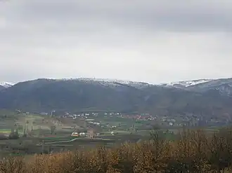 Koprivnica (Kosovska Kamenica)