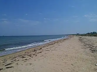 Image de la flèche.