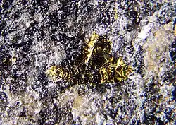 Image illustrative de l’article Kotulskite