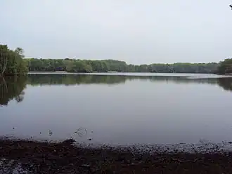 Image illustrative de l’article Kraenepoel