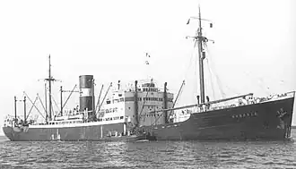 illustration de Pinguin (HSK 5)