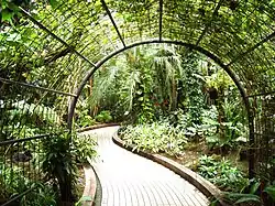 Intérieur des serres.