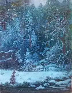 L'hiver en forêt.
