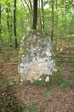 Un des menhirs de la Mancellière.