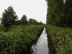 La Râches à Marchiennes.