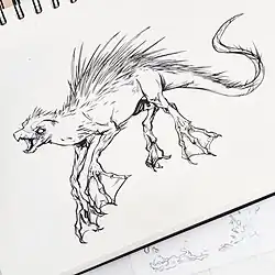 Illustration représentant la velue