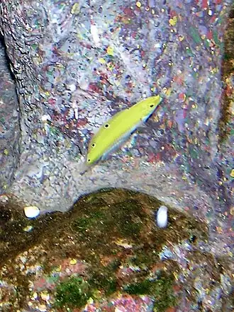 Description de cette image, également commentée ci-après