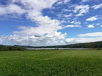 Image illustrative de l’article Lac Mandeville