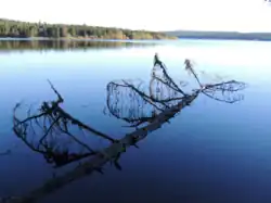 Le lac de Charpal en automne (Lozère).