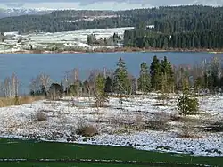 Réserve naturelle nationale du lac de Remoray.