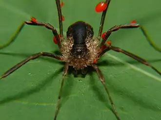 Description de cette image, également commentée ci-après