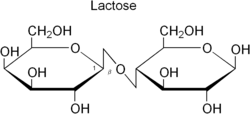 Image illustrative de l’article Lactose