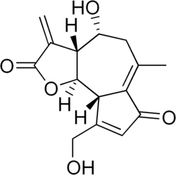 Image illustrative de l’article Lactucine