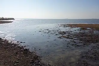 Image illustrative de l’article Lac Djandari