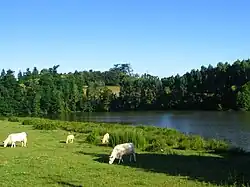 Vue du lac depuis la route de La Tessoualle.