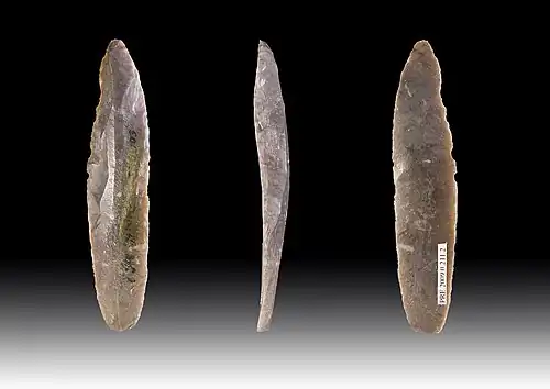 Lames de silex provenant de la grotte Duruthy.