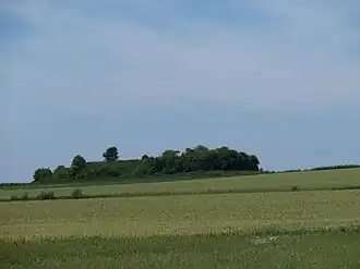 Image illustrative de l’article Tumulus de Waesmont