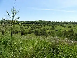 Image illustrative de l’article Landes des Trois Pierres