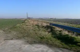La couleur grise du sol est due à présence d'un taux important de sable dans la terre.