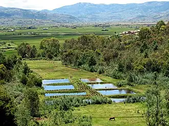 Description de cette image, également commentée ci-après