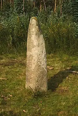 Image illustrative de l’article Lapa de Gargantáns