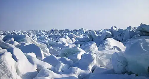Blocs de glace sur la banquise.