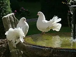 Description de cette image, également commentée ci-après