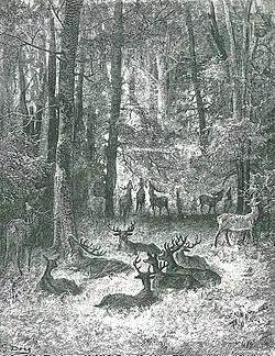 Image illustrative de l’article Le Cerf malade