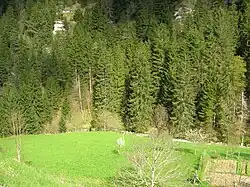 Le Furon aux Jeux à Engins.